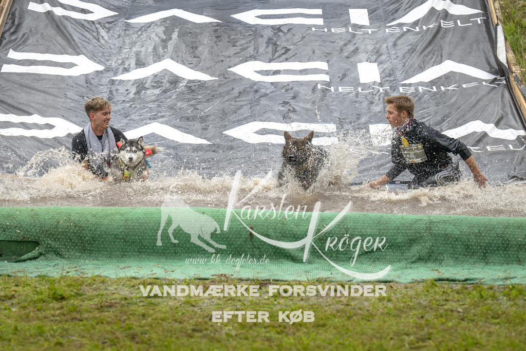 1557_ZZ91569 | kk-dogfotos