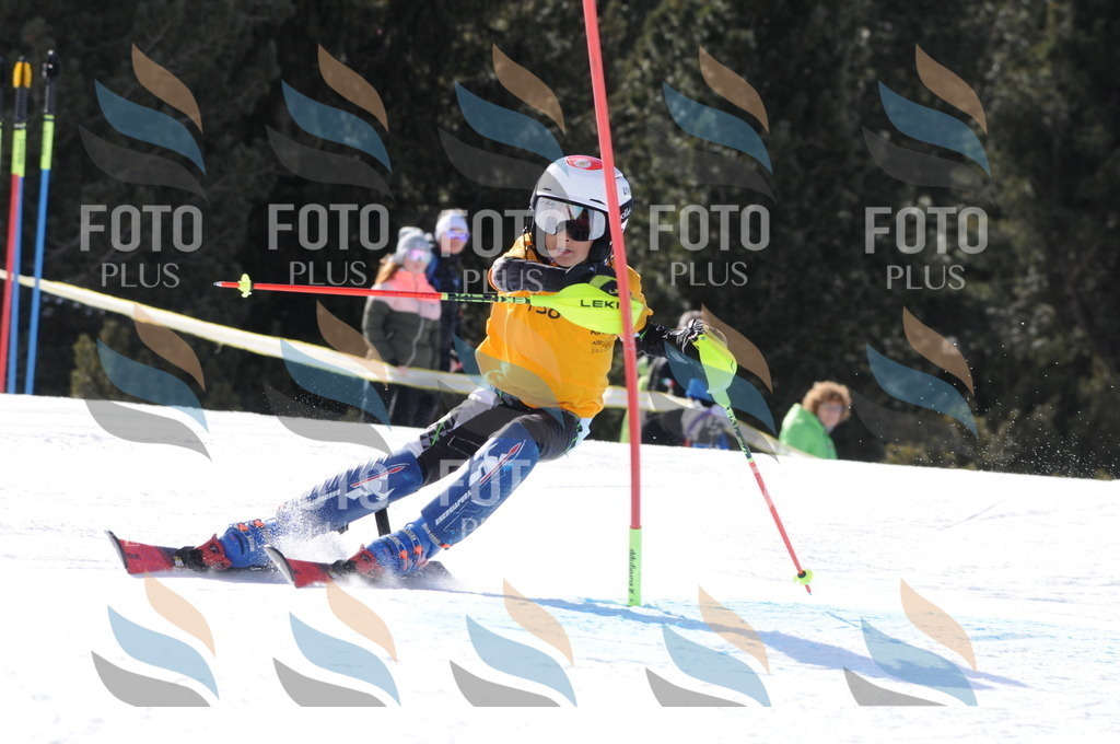 C7251 | holidayphoto