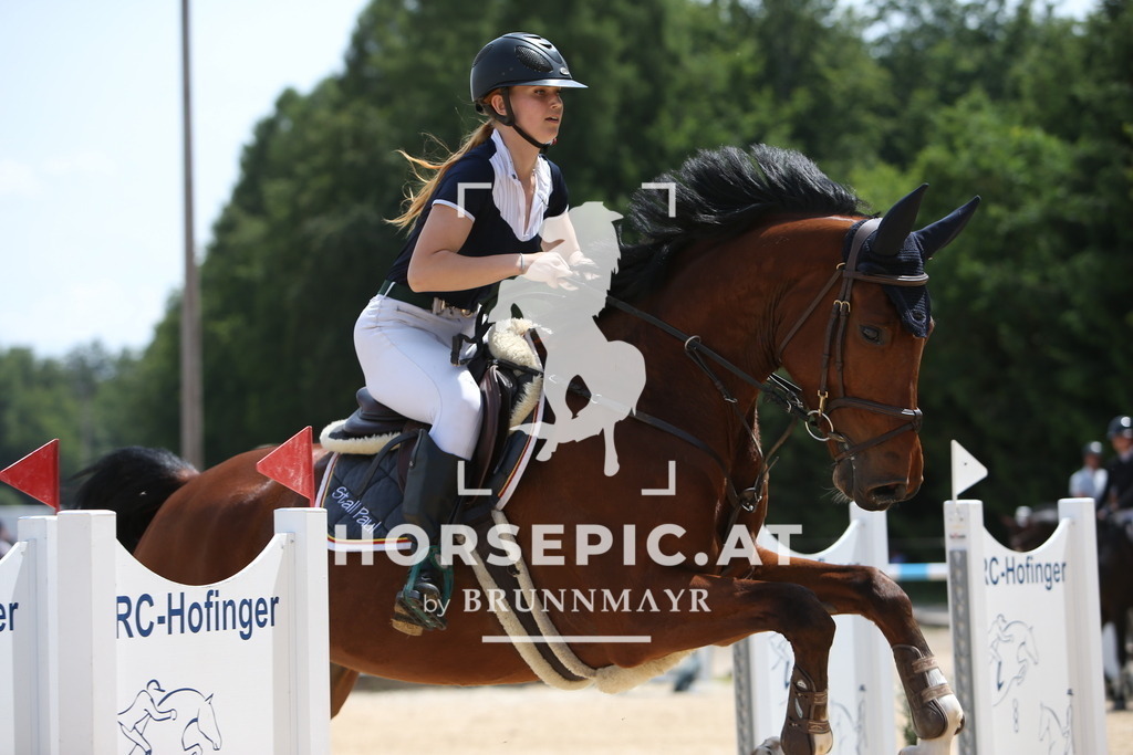 PP011578 | Willkommen bei Brunnmayr - Design & Fotografie – Ihrem Spezialisten für Reitturniere und Pferdeveranstaltungen in Oberösterreich, Salzburg und Bayern! Seit über 17 Jahren sind wir leidenschaftlich dabei.