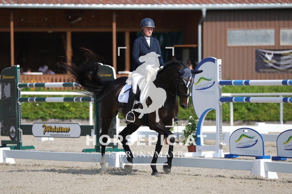 0P6A4518 | Willkommen bei Brunnmayr - Design & Fotografie – Ihrem Spezialisten für Reitturniere und Pferdeveranstaltungen in Oberösterreich, Salzburg und Bayern! Seit über 17 Jahren sind wir leidenschaftlich dabei.