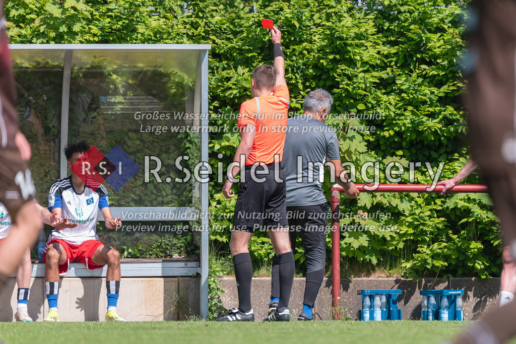 RS-1-047793 | Jannis Körner (Schiedsrichter) zeigt nach kurzer Rücksprache mit dem Linienrichter Rodolfo Cardoso (HSV, Co-Trainer) die rote Karte