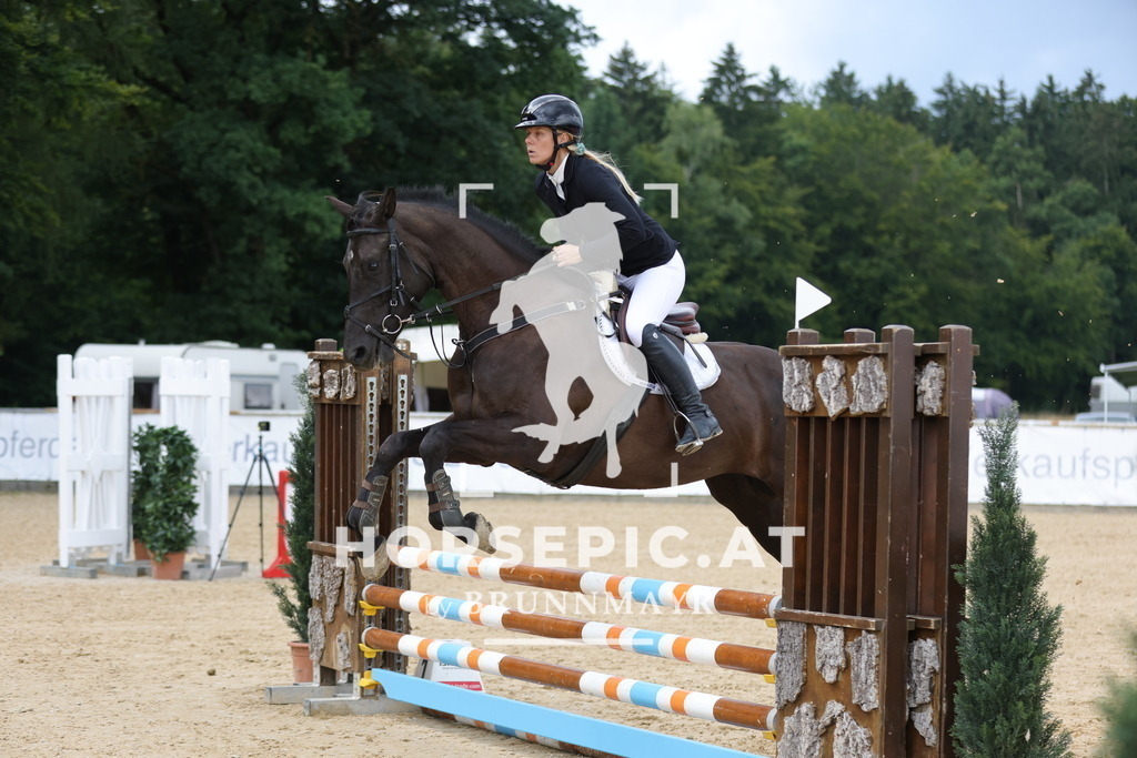 0P6A3686 | Willkommen bei Brunnmayr - Design & Fotografie – Ihrem Spezialisten für Reitturniere und Pferdeveranstaltungen in Oberösterreich, Salzburg und Bayern! Seit über 17 Jahren sind wir leidenschaftlich dabei.