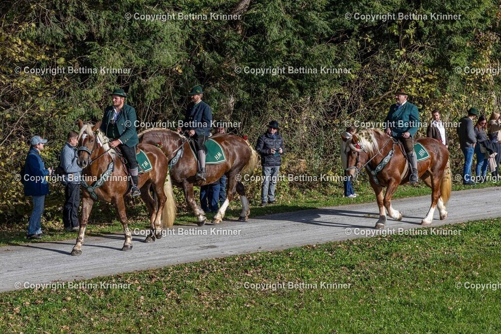 LBT24-942 | foto-bettina-krinner - Realisiert mit Pictrs.com