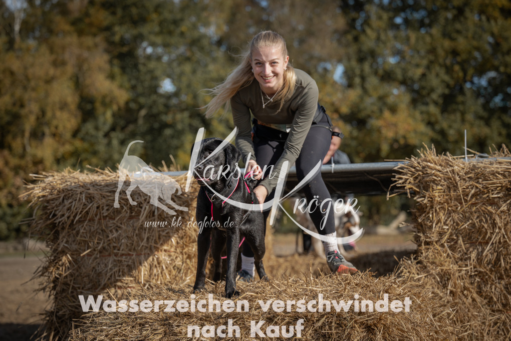 1142_ZZ92589 | kk-dogfotos