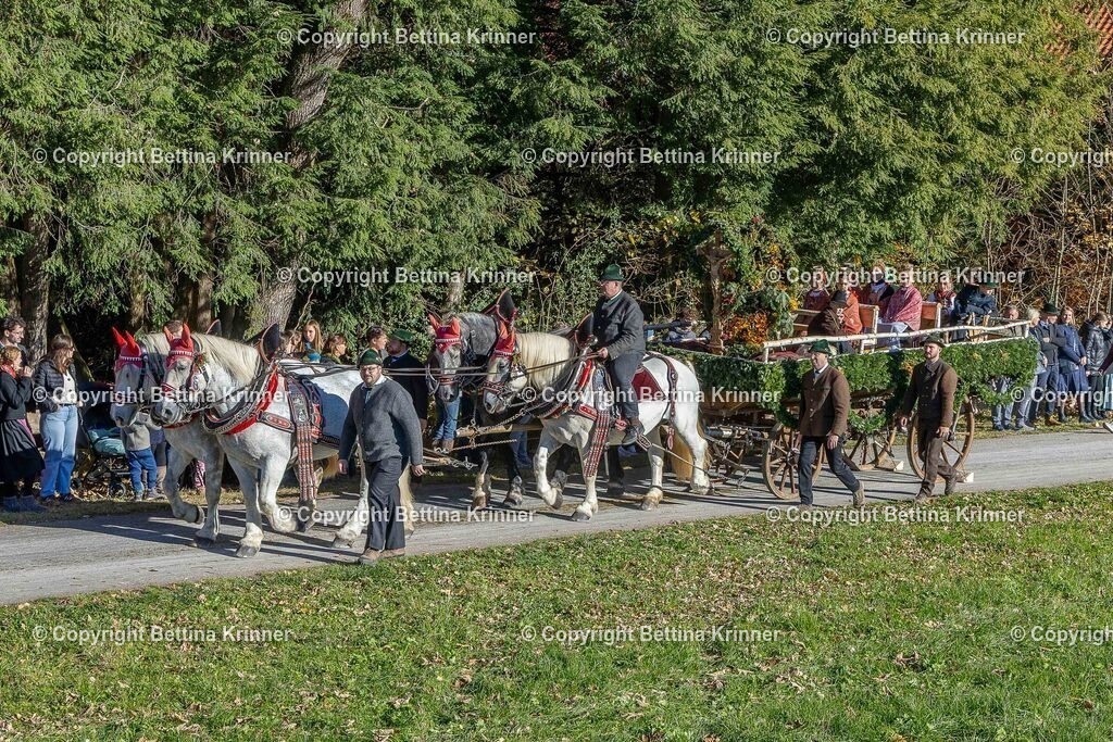 LBT25-590 | foto-bettina-krinner - Realisiert mit Pictrs.com