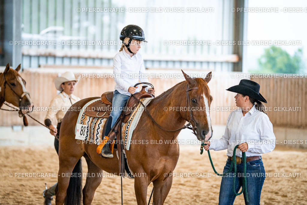 DSC00746 | Pferdegrafie