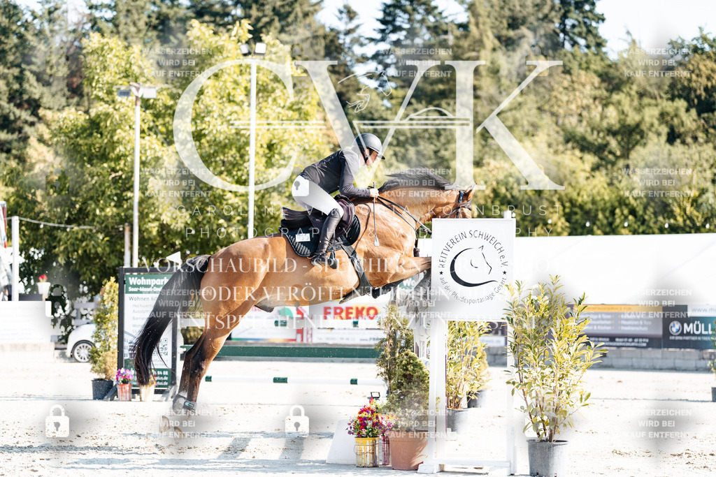 CK901860 | Turnierfotografie Pferdefotografie Trier Rheinland-Pfalz Pferdesport Reitsport Tierfotografie Sportfotografie Pferdevideo Pferdevideografie Equestrianvideography equestrianphotography  - Realisiert mit Pictrs.com