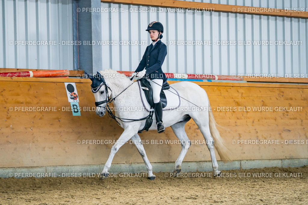 DSC04899 | Pferdegrafie