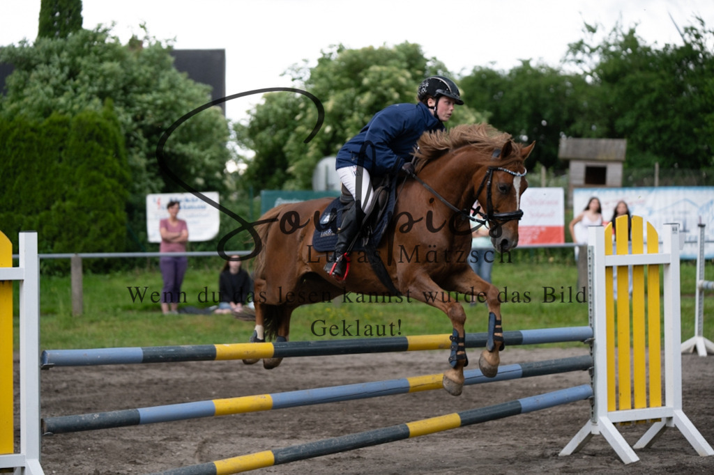 A7V04985 | Pferdefotograf