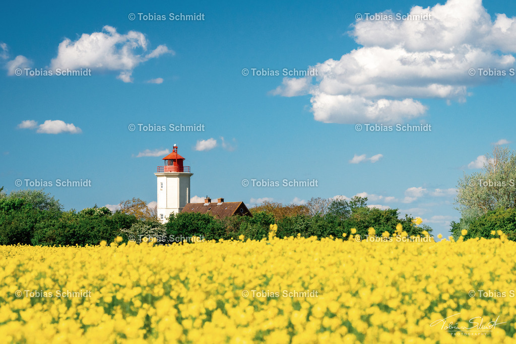 Fehmarn__DSC5813 | Fotoprodukte, Kalender und Wanddeko direkt vom Fotografen auf Fehmarn. Ob Wandbild auf Alu-Dibond, hinter Acrylglas oder auf Leinwand – hier können Sie Ihr Lieblingsbild kaufen. - Realisiert mit Pictrs.com