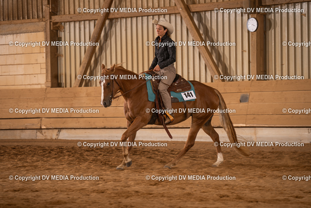 NID00749 | dv-media-shop - Realisiert mit Pictrs.com