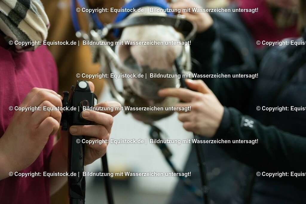 20170113_Endoskopie_0016 | Foto: Thomas Hartig