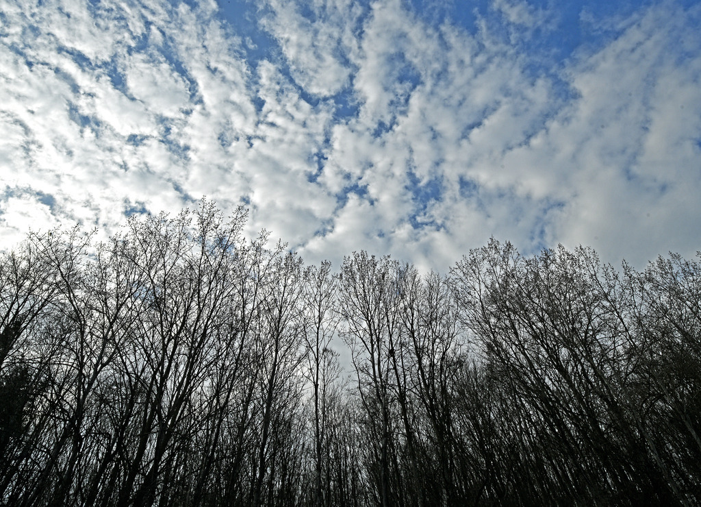 Himmel02 | lucisnaturbilder - Realisiert mit Pictrs.com