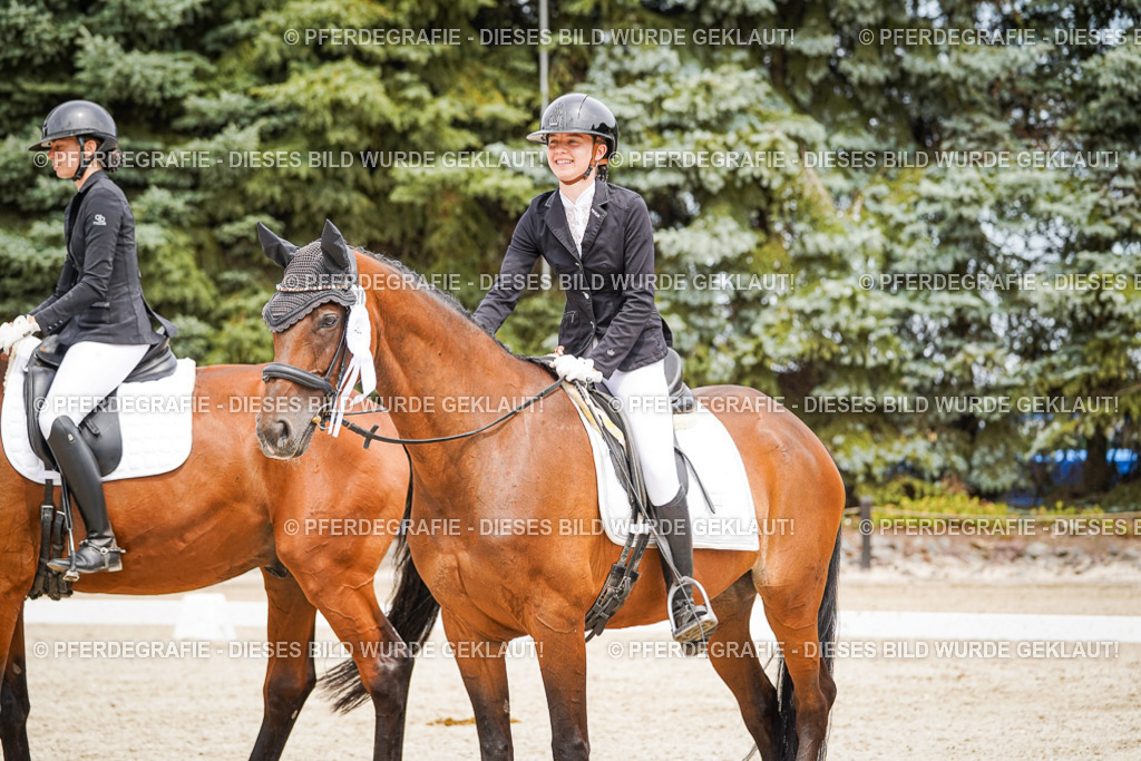 DSC04550 | Pferdegrafie