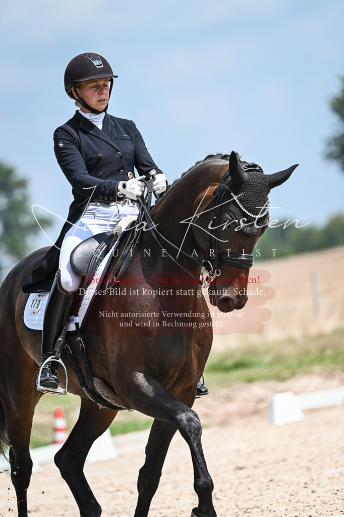 DSC_2584 | Pferde- und Turnierfotografie in Westsachsen. Pferdeportraits, Auftragszeichnungen und intuitive Kunst.