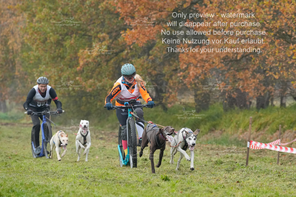 Visbeck_Sa_DS2DR2-25 | stephaniefillaphotographie - Realisiert mit Pictrs.com