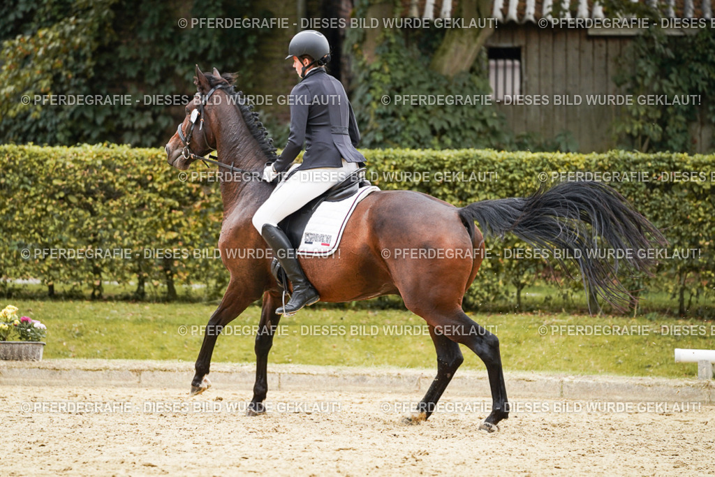 DSC00066 | Pferdegrafie