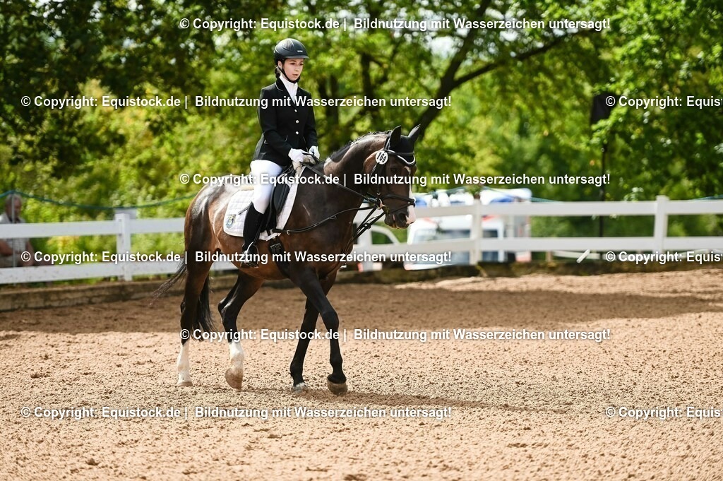 20230716_10-1_Reiter-WB Schritt - Trab - Galopp_0118 | equistock