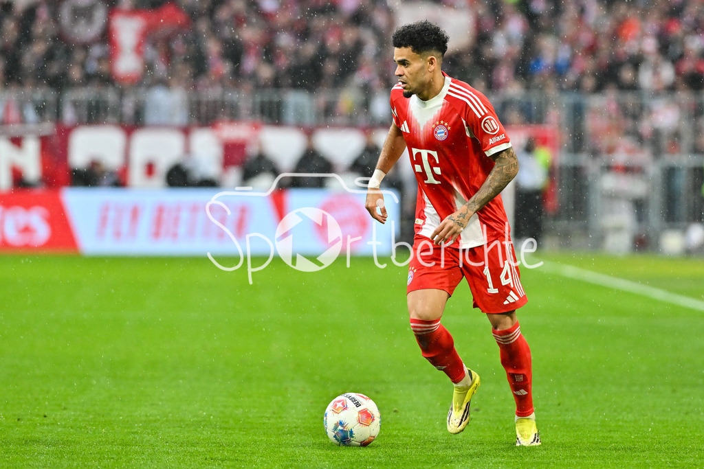 FC Bayern München - Eintracht Frankfurt | MUNICH, GERMANY - 21. FEBRUARY: am BAll Luis DIAZ (FC Bayern Munich 14) Einzelfoto / Freisteller während dem Bundesligamatch zwischen dem FC Bayern München und der SG Eintracht Frankfurt am 23. Spieltag in der Allianz Arena / DFL REGULATIONS PROHIBIT ANY USE OF PHOTOGRAPHS AS IMAGE SEQUENCES AND/OR QUASI-VIDEO