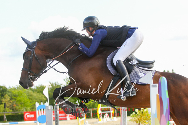 DKP43873 | Turniersportfotografie; Pferdefotografie; Dressurfotografie