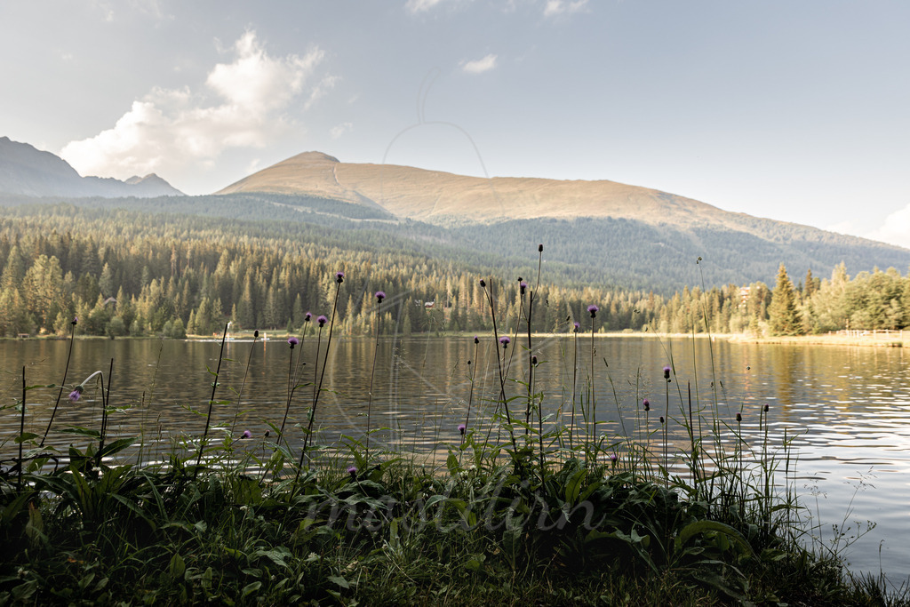 Abendstimmung am Prebersee | Ihre Fotografin im Lungau, ihre Fotografin im Mostviertel, Wandbilder Onlineshop, Imagefotos für Ihr Unternehmen,  - Realisiert mit Pictrs.com