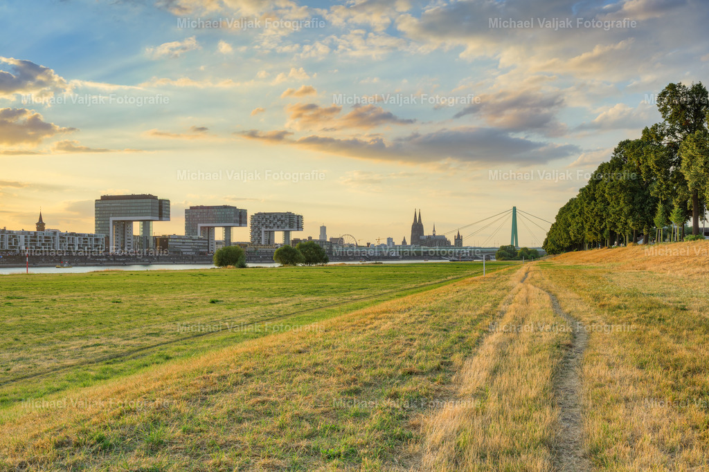 Blick über die Poller Wiesen in Köln | Kurz vor Sonnenuntergang liegt ein warmes, goldenes Licht über den Poller Wiesen und lässt die weitläufige Rheinaue besonders stimmungsvoll erscheinen. Der Blick führt über die Wiesen hinüber zum Rhein und weiter auf die markanten Kranhäuser und den Kölner Dom, die sich eindrucksvoll vor dem Abendhimmel abzeichnen.Das Zusammenspiel aus natürlicher Landschaft und der charakteristischen Kölner Stadtsilhouette macht dieses Motiv zu einer besonderen Ansicht der Domstadt. Die tief stehende Sonne verleiht der Aufnahme eine warme, ruhige Atmosphäre und bringt die Farben der Wiese besonders intensiv zur Geltung.Ein atmosphärisches Landschafts- und Stadtfoto von Köln am Rhein, das die berühmten Wahrzeichen der Stadt aus einer besonderen Perspektive zeigt. - Realisiert mit Pictrs.com