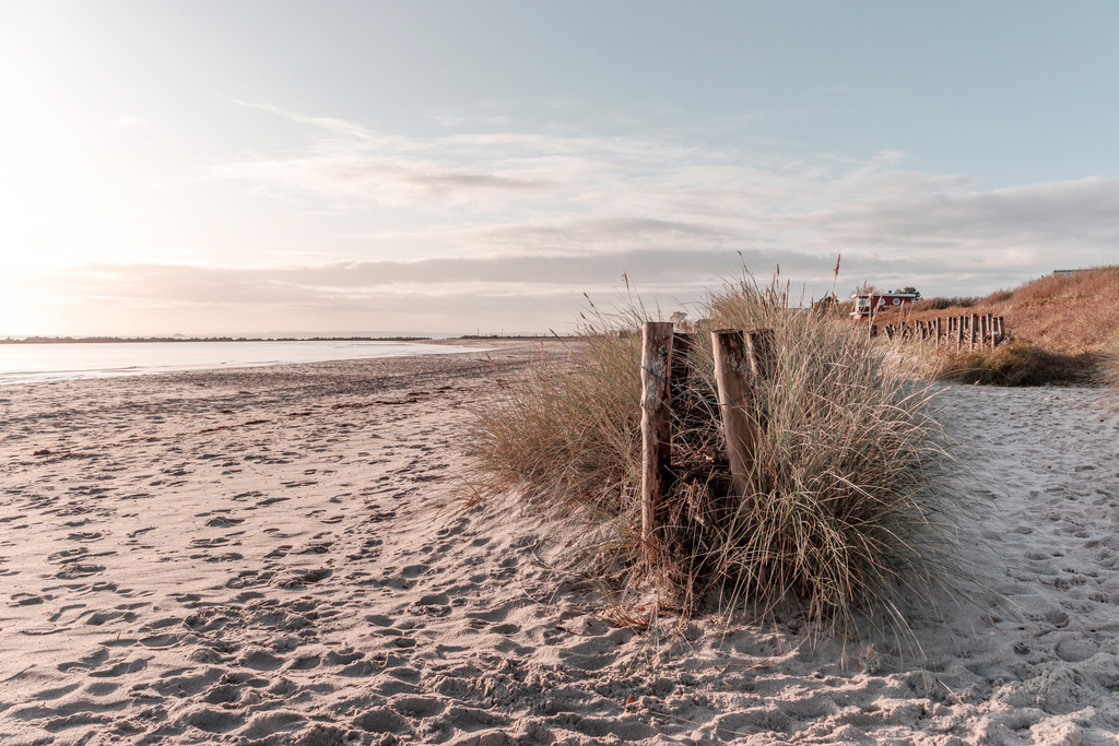 Wandbild: Strandhafer am Sandstrand im Morgenrot | Dieses Wandbild im Querformat zeigt einen traumhaften Sandstrand in schöner Morgenstimmung am Meer. Am Strand ist ein Sandfang bewachsen mit Strandhafer zu sehen. Dieses Wandbild bekommt durch den Sandstrand einen natürlichen Sandton, der durch das Morgenrot leicht rötlich wirkt.  Sie möchten Ihre Wände dezent aber stilvoll und elegant dekorieren? Dann holen Sie sich dieses maritime Wandbild. Es ist auf Leinwand, Aluminium-Platte, Acrylglas oder als Holzdruck erhältlich. Die Wandbilder werden individuell für Sie in vielen Abmessungen produziert. Daher passen die Ostseekult Wandbilder immer perfekt an Ihre Wände. - Realisiert mit Pictrs.com