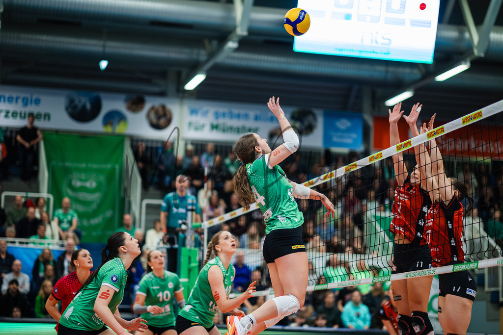 Volleyball, 1. Bundesliga Frauen, Hauptrunde, 8. Spieltag, Saison 2025/2026: USC Münster - Dresdner SC | 1. Bundesliga Frauen, Hauptrunde, 8. Spieltag, Saison 2025/2026, USC Münster empfängt Dresdner SC in der Sporthalle Berg Fidel in Münster. Foto: sportfotografie.ms | Markus Paletta - Realisiert mit Pictrs.com