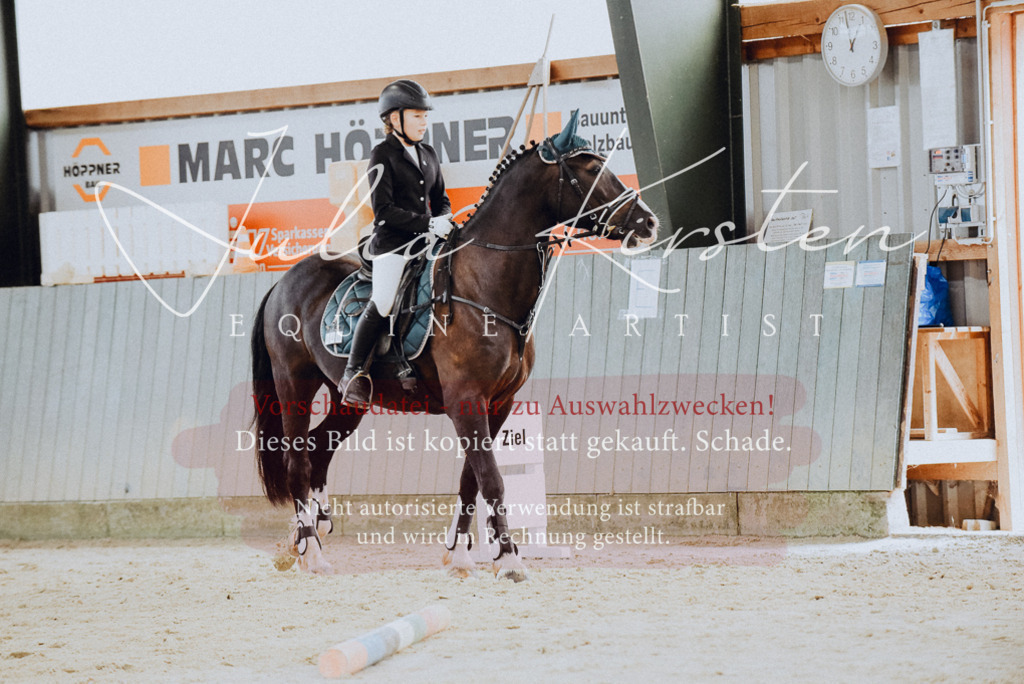 DSC_6810 | Pferde- und Turnierfotografie in Westsachsen. Pferdeportraits, Auftragszeichnungen und intuitive Kunst.