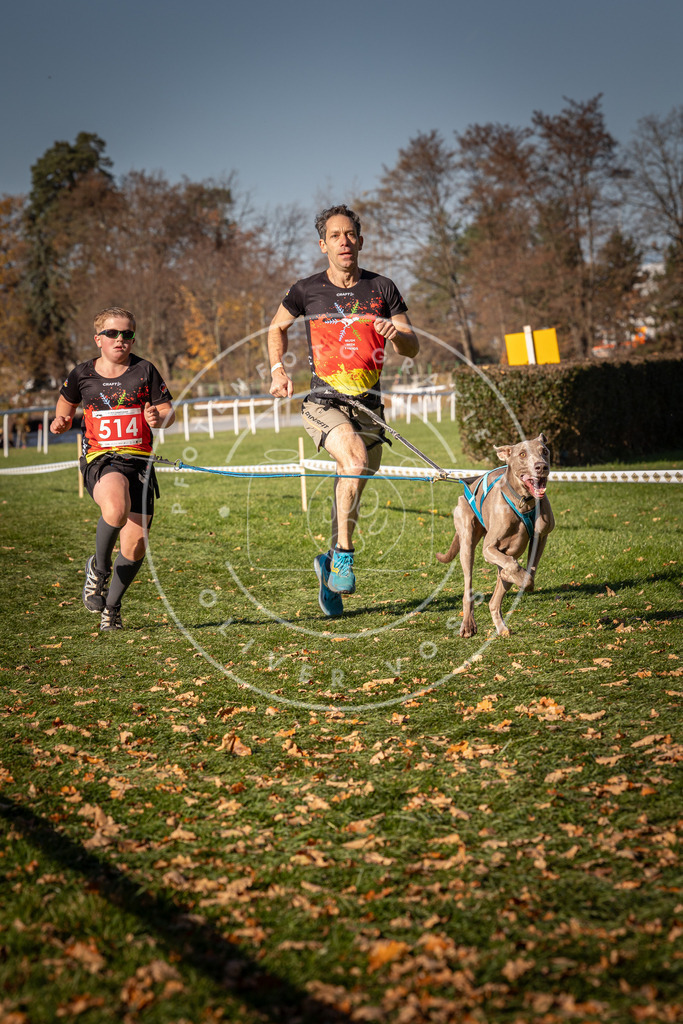 CaniXpix_0L8A6917 | Hundefotografie, Tierfotograf, Pfotenfotografie, Fotoshooting Hund, Hunde Portrait, Hundesport, Hundeportraits, Heideshooting, Hunde, Sportfotograf, Hundefotograf, Turnierhundsport, THS,  - Realisiert mit Pictrs.com