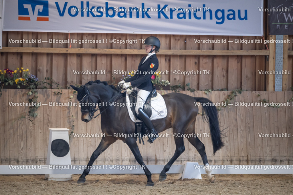 _D5A5165 | Emotionale Pferde- & People-Fotografie rund um Heidelberg, Leimen & Umgebung. Natürliche Fotos von Pferd, Mensch & Familie. Jetzt Termin sichern!