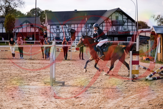 2026_10_03_Siefer-Hof_145727_Z81_39246001 | Professionelle Reitsport-, Turnier- und Eventfotografie von Robert Broda. Galerien mit ausgewählten und bearbeiteten Bildern direkt online ansehen und bestellen.