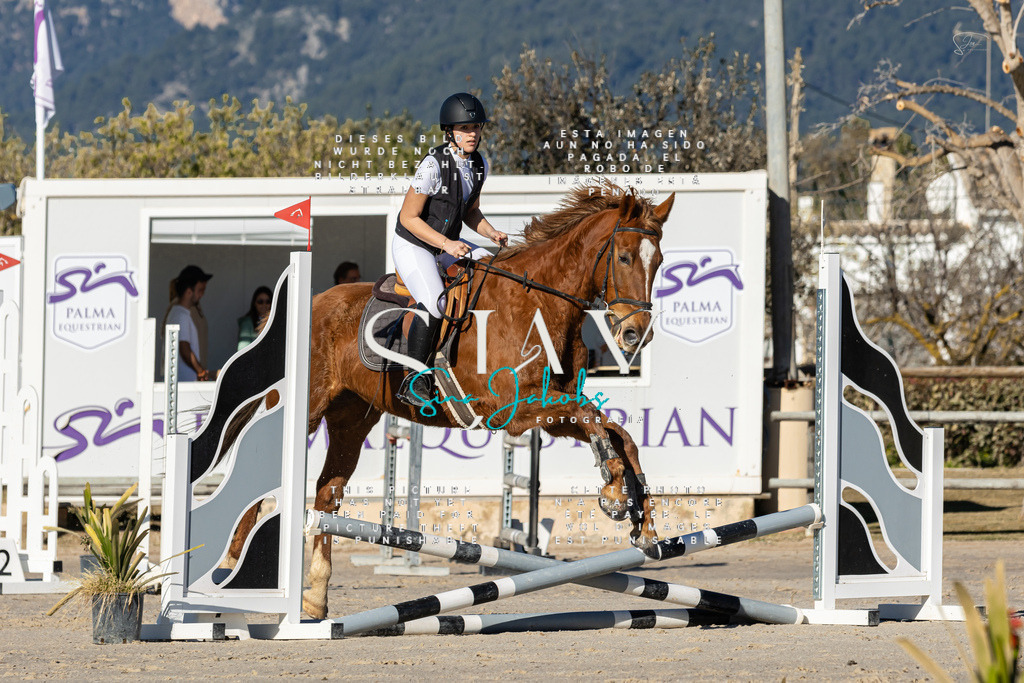 IMG_7914 | s-jay-photography - Realisiert mit Pictrs.com