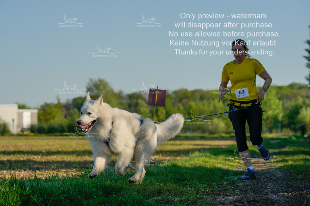 So_GL5undSprint-211 | stephaniefillaphotographie - Realisiert mit Pictrs.com