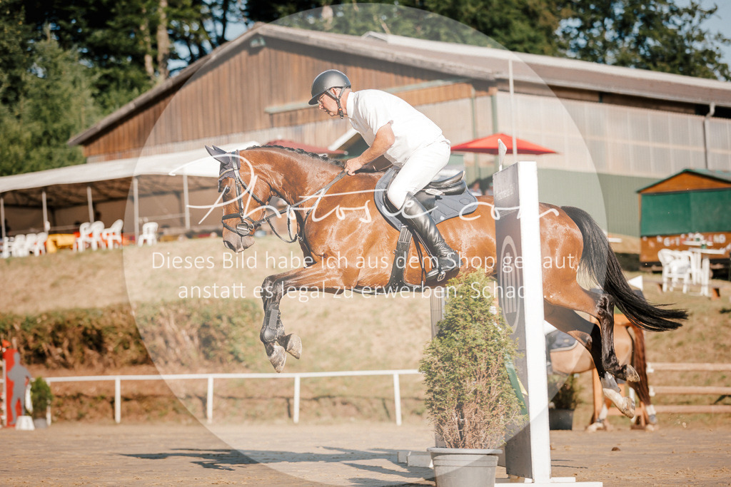 3I6A6193 | Stimmungsvolle Portraits und Reitsportfotografie im Ruhrgebiet und im Münsterland.

Pferdefotografie, Hundefotografie, Tierfotografie, Reportagen, Portraits von Tier und Mensch, Turnierfotografie in Bochum, Recklinghausen, Marl, Haltern am See, Dülmen.. - Realisiert mit Pictrs.com