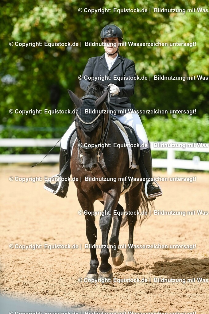 20230716_01_Dressurprüfung Kl.M_0576 | equistock