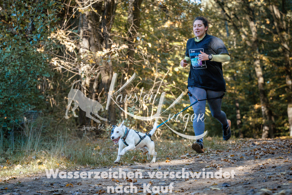 1100_ZZ91362 | kk-dogfotos