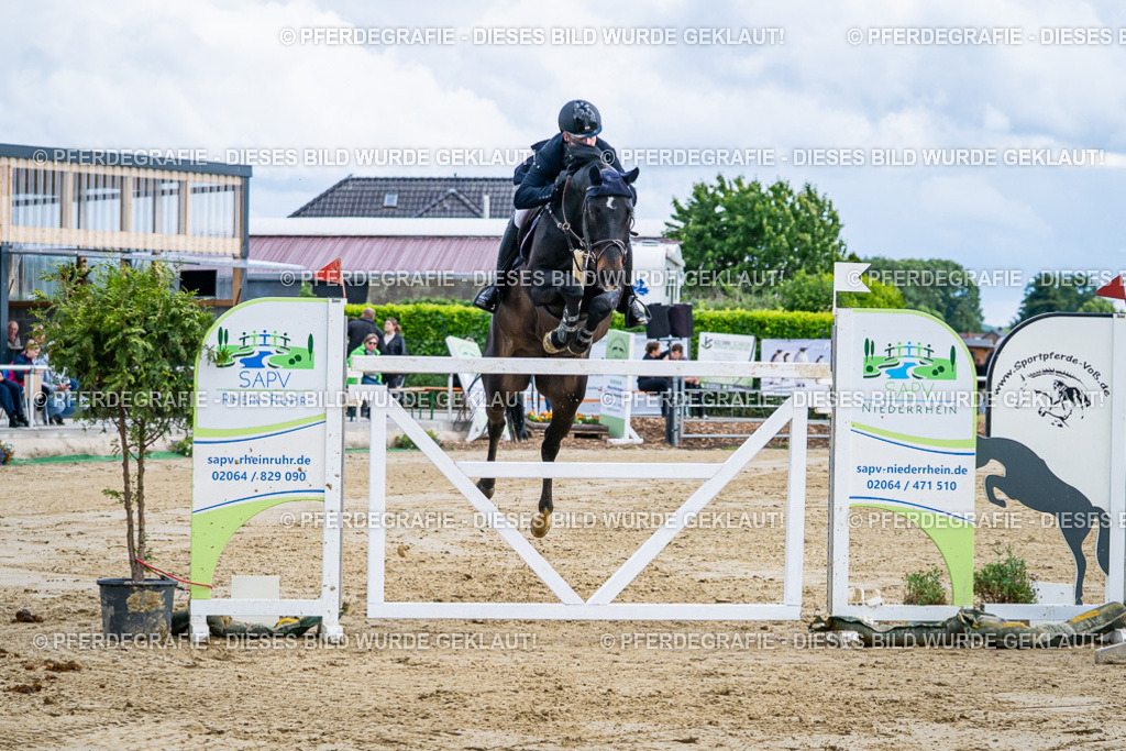 DSC05694 | Pferdegrafie