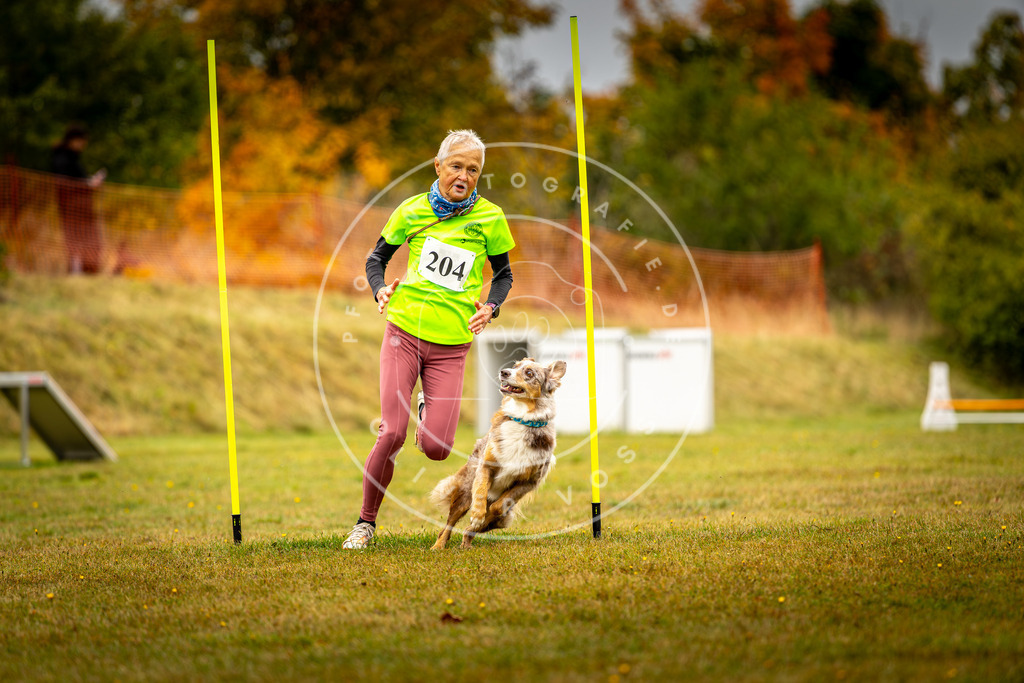 Pfotenfotografie_DV3A2062 | Hundefotografie, Tierfotograf, Pfotenfotografie, Fotoshooting Hund, Hunde Portrait, Hundesport, Hundeportraits, Heideshooting, Hunde, Sportfotograf, Hundefotograf, Turnierhundsport, THS,  - Realisiert mit Pictrs.com