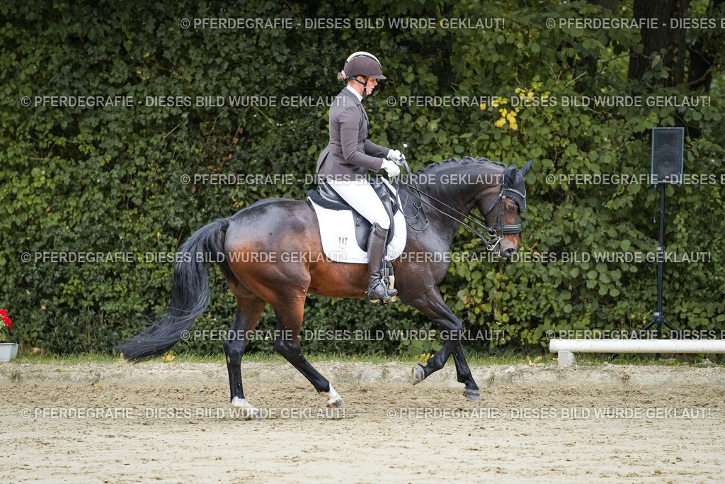 DSC08780 | Pferdegrafie