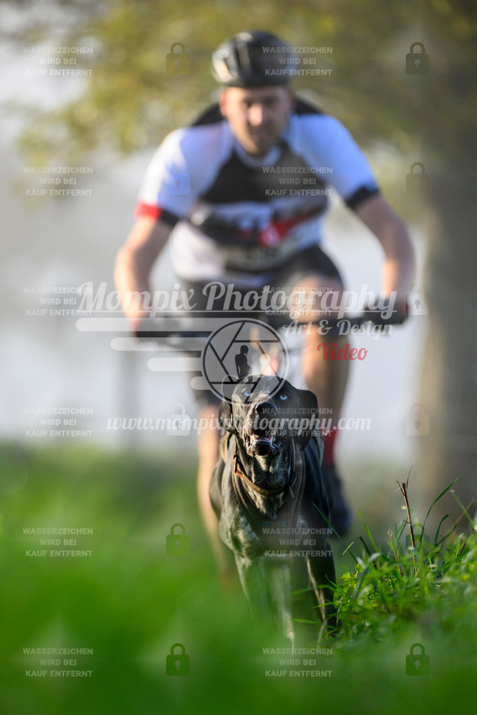 MompixPhotography_20TSB_E3_Bike-84 | PayLife