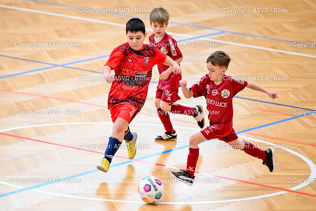 ASVÖ_ Fussball Nachwuchs Hallenturnier 2026_ SV Gallneukirchen_ 28.02.2026-126 | 28.02.2026, Gallneukirchen, AUT, ASVÖ, Fussball Nachwuchs Hallenturnier 2026, SV Gallneukirchen im Bild Teilnehmer U7©Harald Dostal / fodo.media - Realisiert mit Pictrs.com