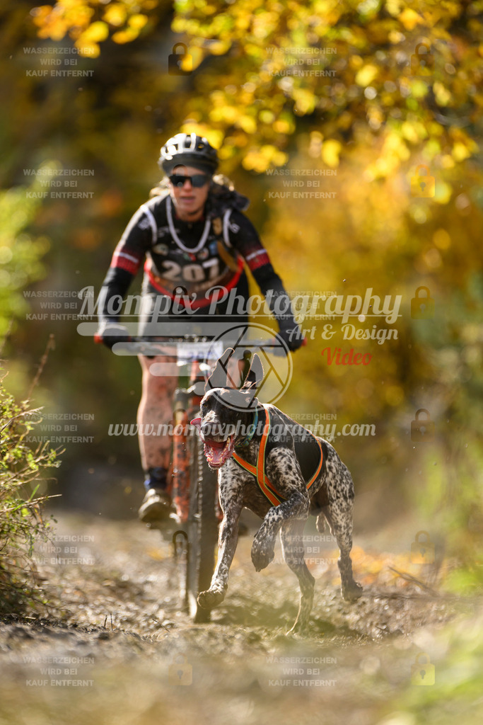 MompixPhotography_ICF_WC_2024_SA_Bike_-334 | PayLife