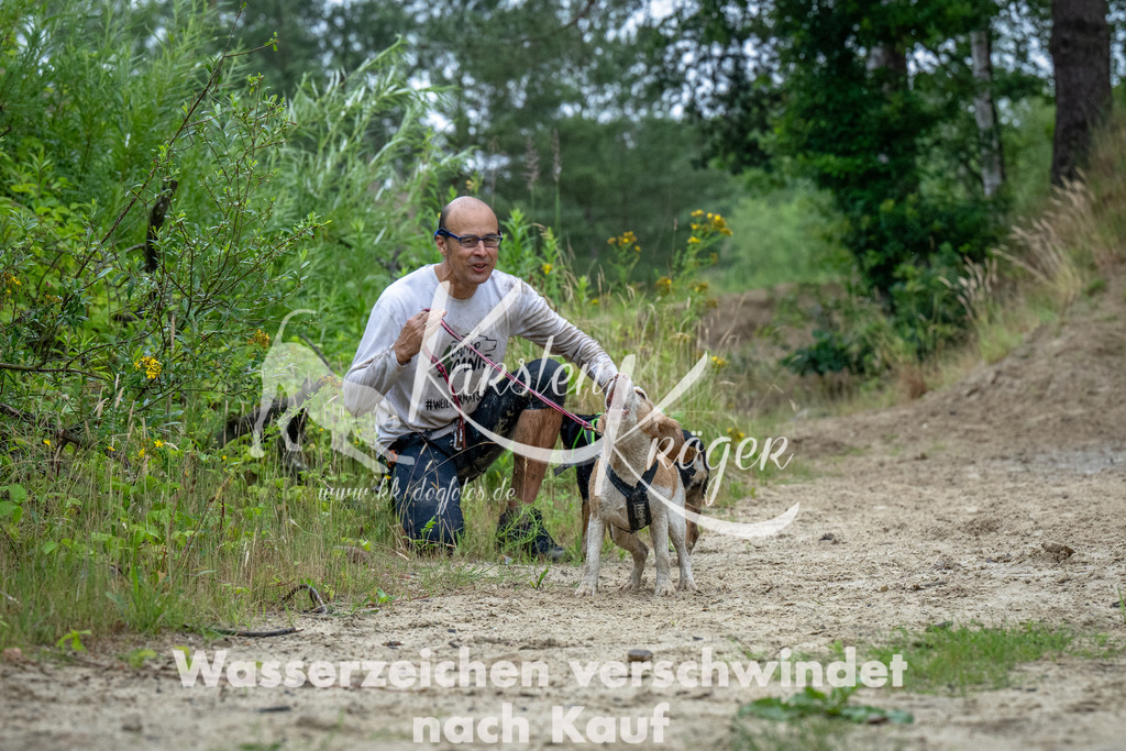 1244_ZZ94437-Bearbeitet | kk-dogfotos