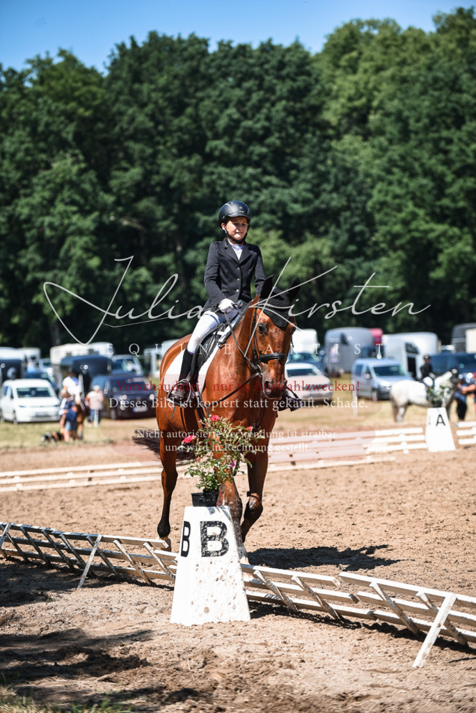 DSC_2986 | Pferde- und Turnierfotografie in Westsachsen. Pferdeportraits, Auftragszeichnungen und intuitive Kunst.