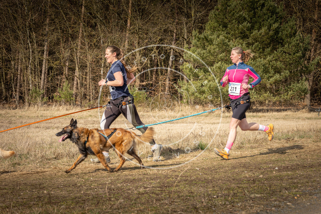 DV3A5800 | Hundefotografie, Tierfotograf, Pfotenfotografie, Fotoshooting Hund, Hunde Portrait, Hundesport, Hundeportraits, Heideshooting, Hunde, Sportfotograf, Hundefotograf, Turnierhundsport, THS,  - Realisiert mit Pictrs.com