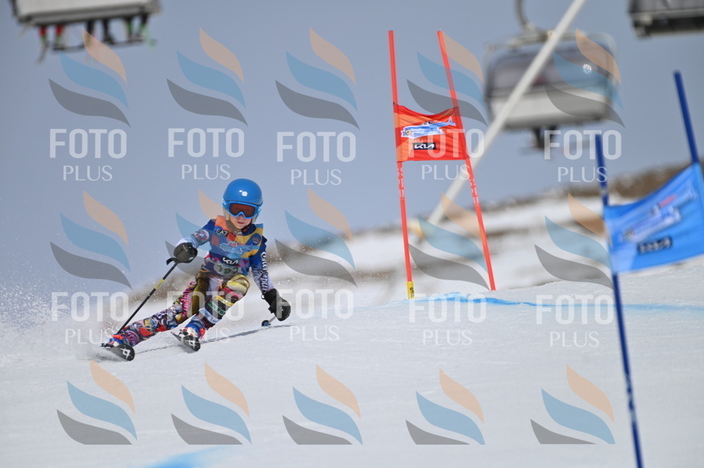 BGV_3629 | holidayphoto