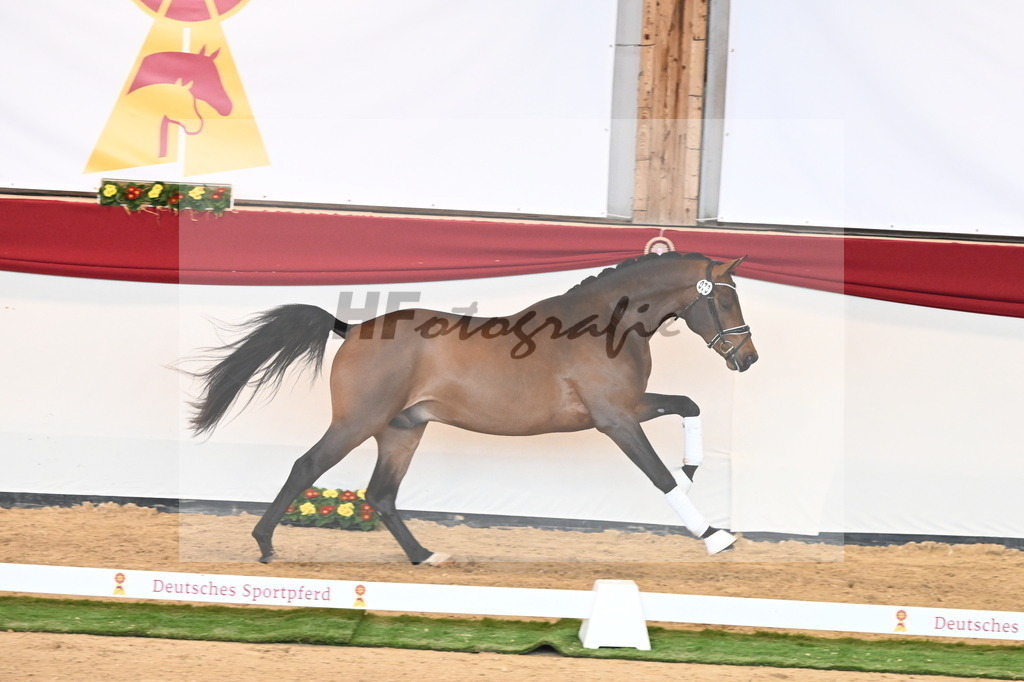 Kat.-Nr. 73 v. Va Bene_Kuntz_2240975 | hf-fotografie - Realisiert mit Pictrs.com