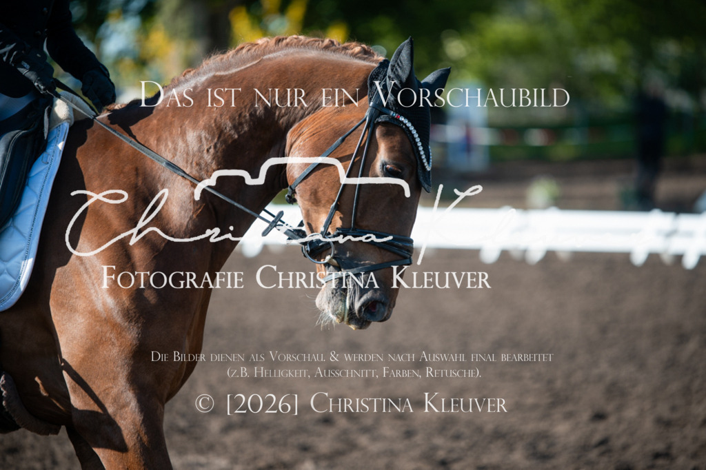 DSC_6635 | Christina-Kleuver