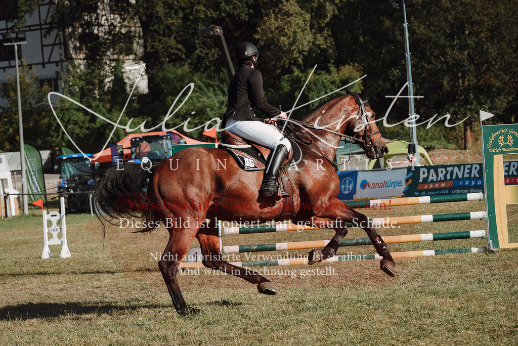 DSC_5191 | Pferde- und Turnierfotografie in Westsachsen. Pferdeportraits, Auftragszeichnungen und intuitive Kunst.